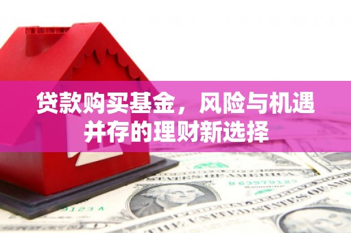 临沭贷款购买基金，风险与机遇并存的理财新选择