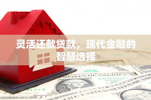 临沭灵活还款贷款，现代金融的智慧选择