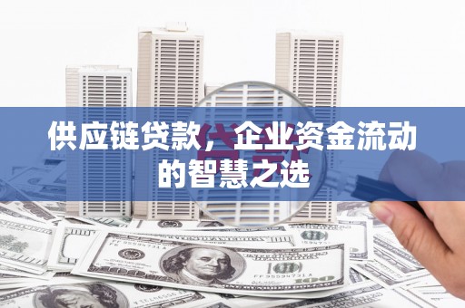 临沭供应链贷款，企业资金流动的智慧之选