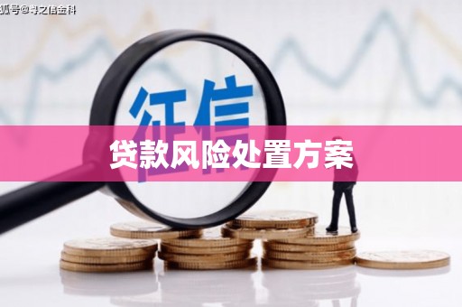 临沭贷款风险处置方案