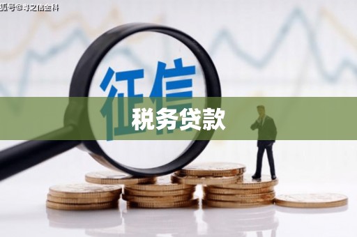 临沭税务贷款