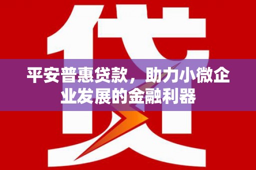 临沭平安普惠贷款，助力小微企业发展的金融利器