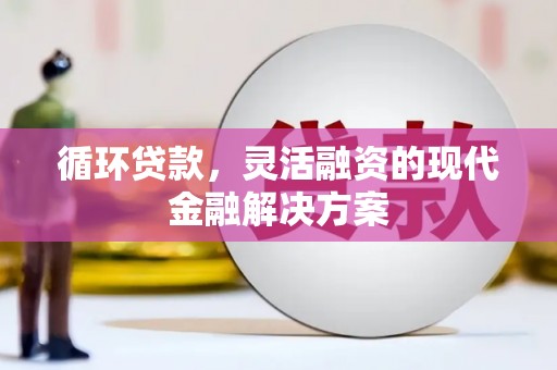 临沭循环贷款，灵活融资的现代金融解决方案