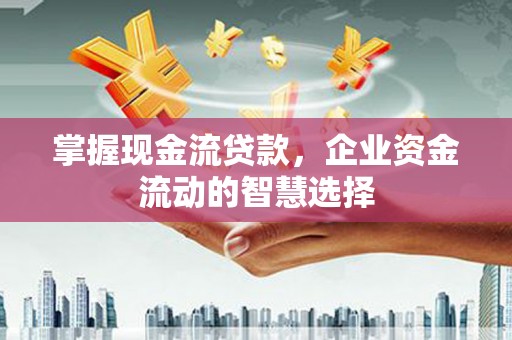 临沭掌握现金流贷款，企业资金流动的智慧选择