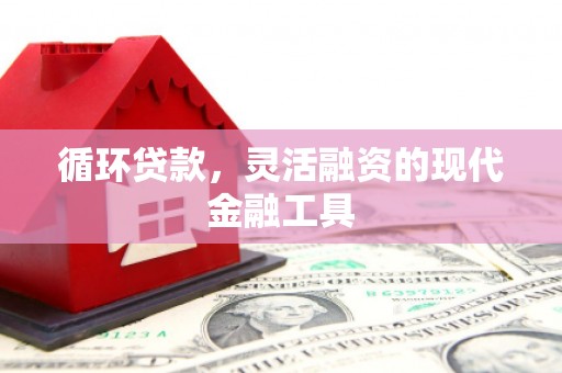 临沭循环贷款，灵活融资的现代金融工具
