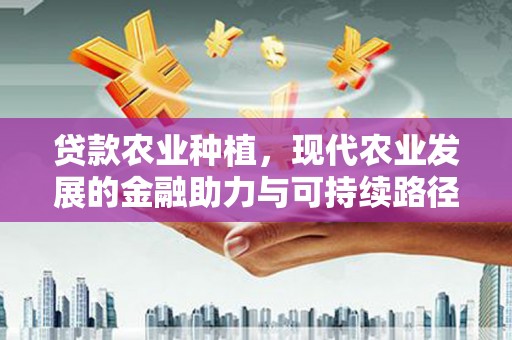 临沭贷款农业种植，现代农业发展的金融助力与可持续路径