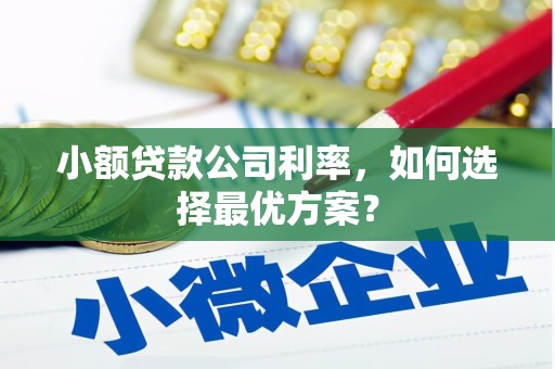 临沭小额贷款公司利率，如何选择最优方案？