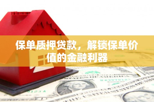 临沭保单质押贷款，解锁保单价值的金融利器