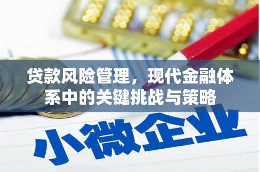 临沭贷款风险管理，现代金融体系中的关键挑战与策略
