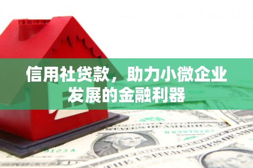 临沭信用社贷款，助力小微企业发展的金融利器