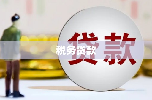 临沭税务贷款