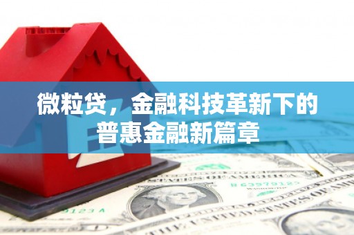 临沭微粒贷，金融科技革新下的普惠金融新篇章
