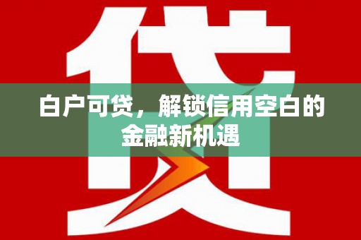 临沭白户可贷，解锁信用空白的金融新机遇