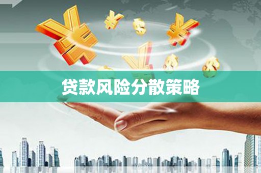 临沭贷款风险分散策略