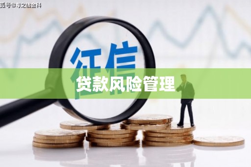 临沭贷款风险管理