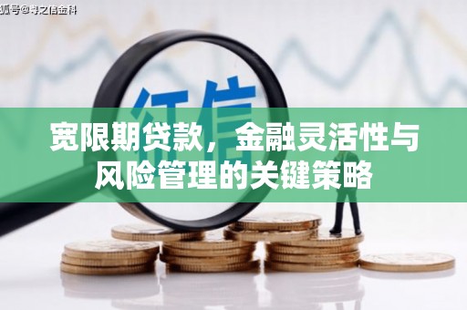 临沭宽限期贷款，金融灵活性与风险管理的关键策略