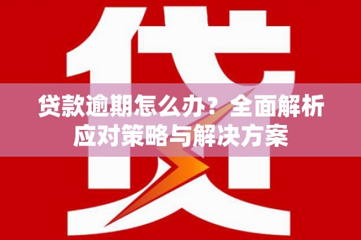 临沭贷款逾期怎么办？全面解析应对策略与解决方案