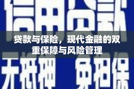 临沭贷款与保险，现代金融的双重保障与风险管理