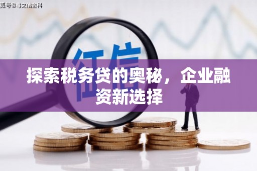 临沭探索税务贷的奥秘，企业融资新选择