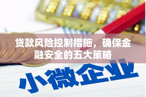 临沭贷款风险控制措施，确保金融安全的五大策略