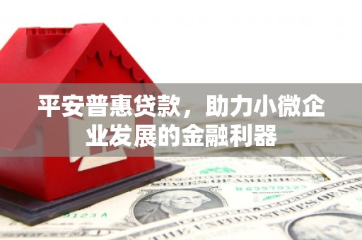 临沭平安普惠贷款，助力小微企业发展的金融利器