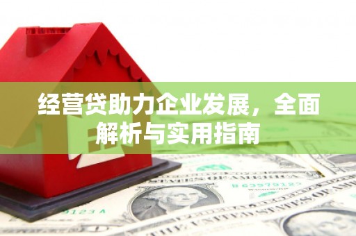 临沭经营贷助力企业发展，全面解析与实用指南