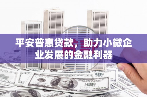 临沭平安普惠贷款，助力小微企业发展的金融利器
