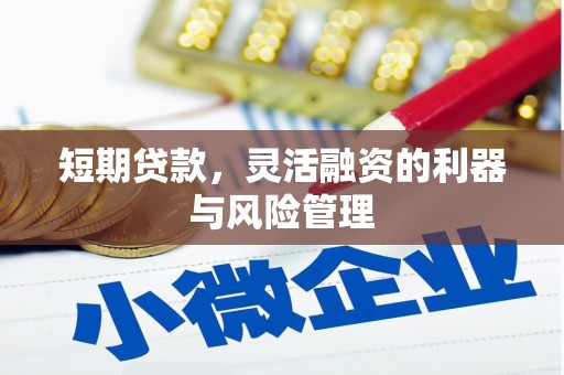 临沭短期贷款，灵活融资的利器与风险管理