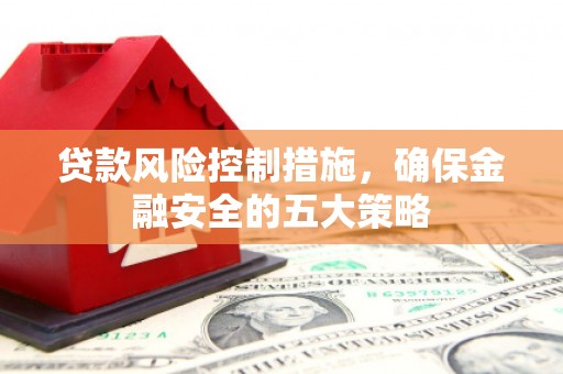 临沭贷款风险控制措施，确保金融安全的五大策略