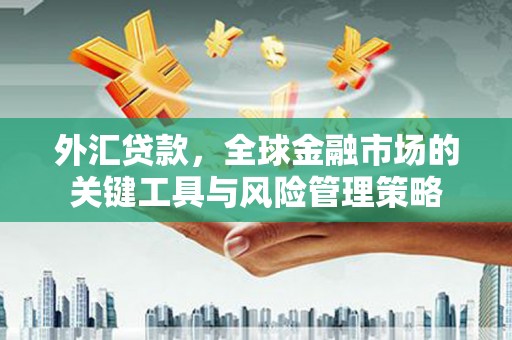 临沭外汇贷款，全球金融市场的关键工具与风险管理策略