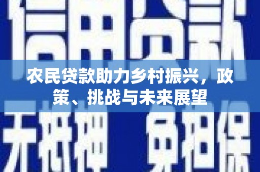 临沭农民贷款助力乡村振兴，政策、挑战与未来展望