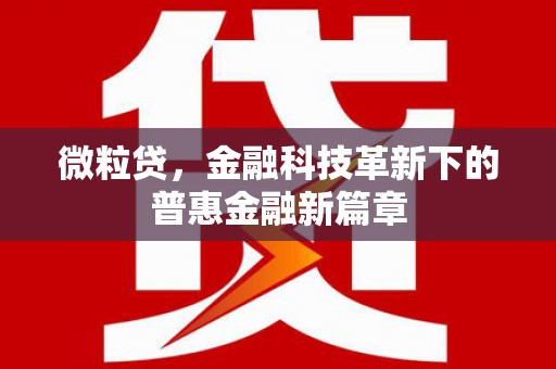 临沭微粒贷，金融科技革新下的普惠金融新篇章