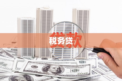 临沭税务贷