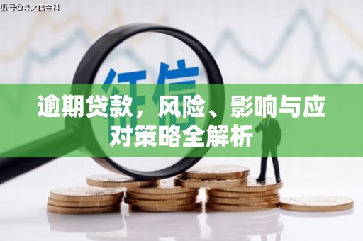 临沭逾期贷款，风险、影响与应对策略全解析