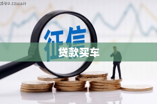 临沭贷款买车
