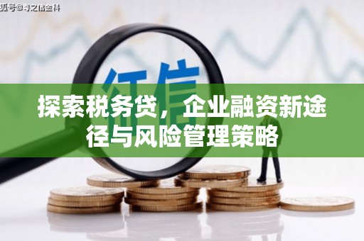 临沭探索税务贷，企业融资新途径与风险管理策略