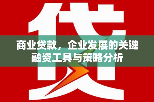 临沭商业贷款，企业发展的关键融资工具与策略分析