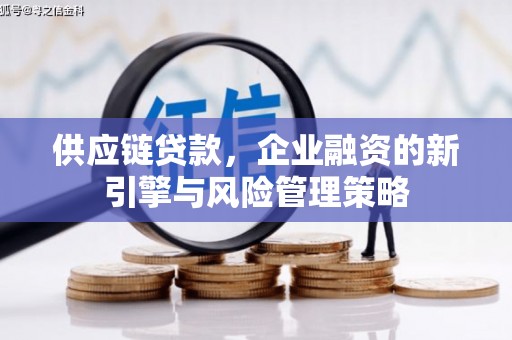 临沭供应链贷款，企业融资的新引擎与风险管理策略