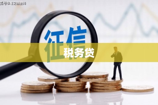临沭税务贷