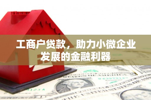 临沭工商户贷款，助力小微企业发展的金融利器
