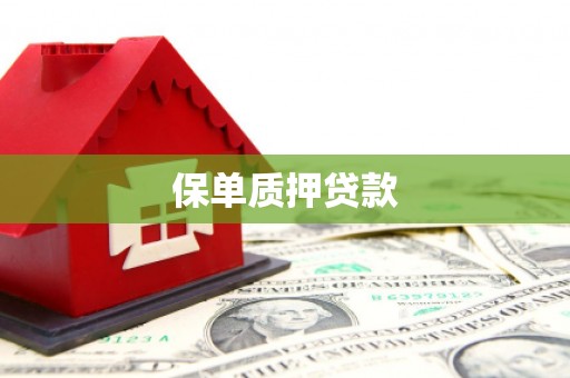 临沭保单质押贷款