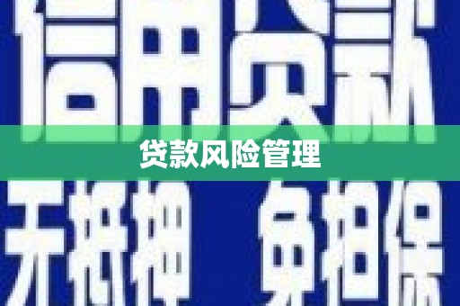临沭贷款风险管理