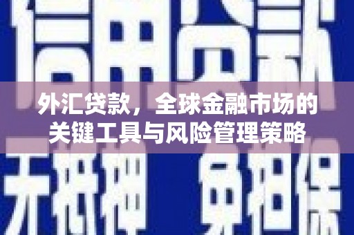 临沭外汇贷款，全球金融市场的关键工具与风险管理策略