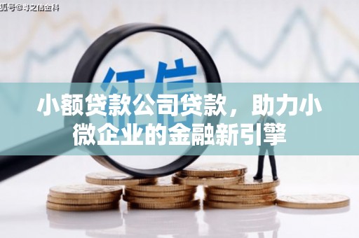 临沭小额贷款公司贷款，助力小微企业的金融新引擎
