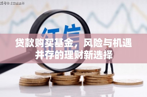 临沭贷款购买基金，风险与机遇并存的理财新选择