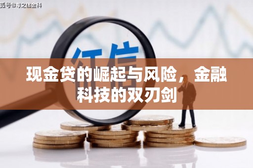 临沭现金贷的崛起与风险，金融科技的双刃剑