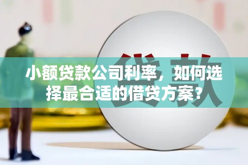 临沭小额贷款公司利率，如何选择最合适的借贷方案？