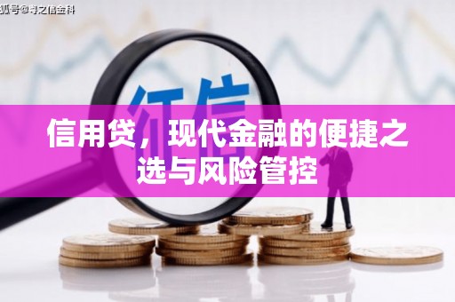临沭信用贷，现代金融的便捷之选与风险管控