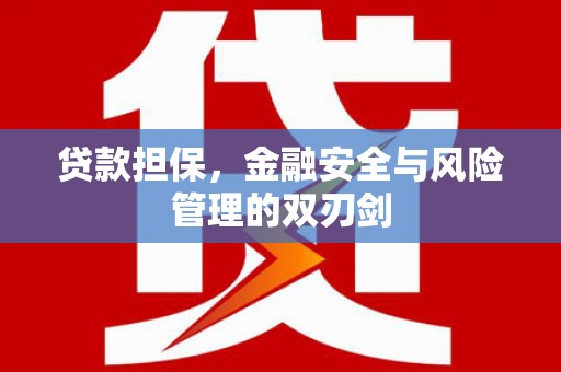 临沭贷款担保，金融安全与风险管理的双刃剑