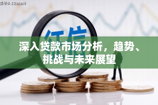 临沭深入贷款市场分析，趋势、挑战与未来展望